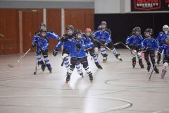 TSV Inline-Skaterhockey